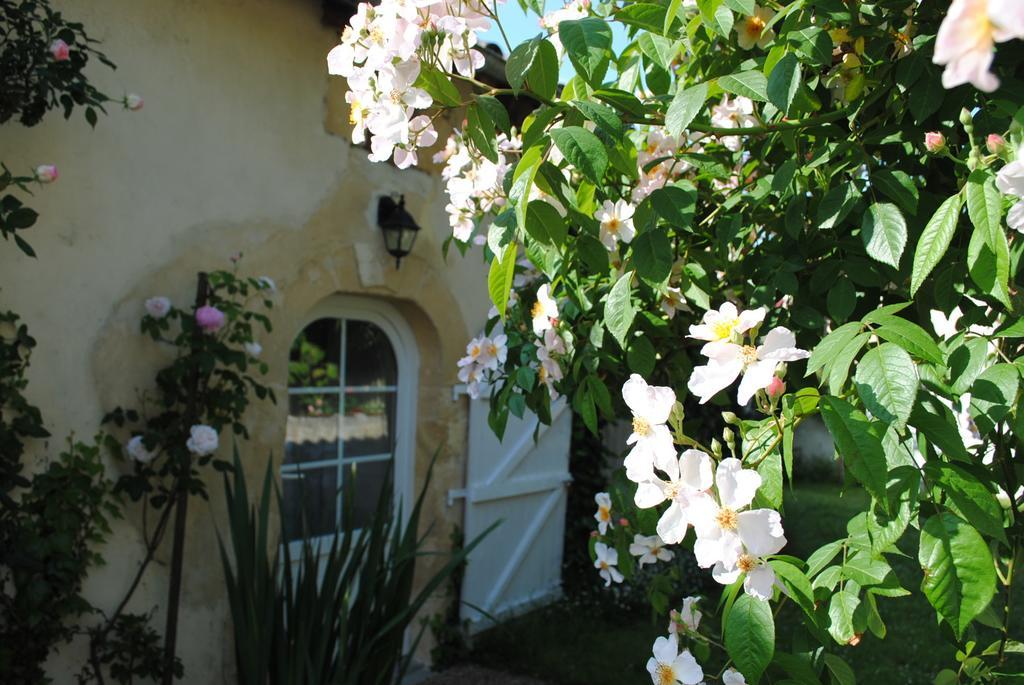 Domaine De Plisseau Bed and Breakfast Gauriac Exteriör bild